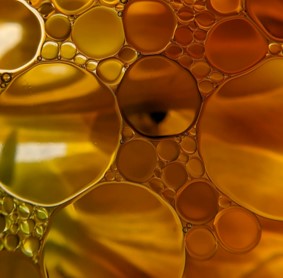 Aceite jojoba byoode