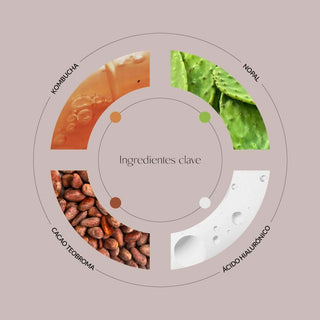 Ingredientes Esencia Nopal & Kombucha Metaphor