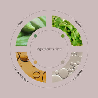 Ingredientes Watercress & Copper Lyric