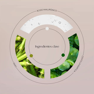 Los ingredientes principales del sérum Hyaluronic & Okra Allegory