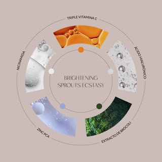 Los ingredientes clave del serum con vitamina C de Byoode Brightening Sprouts Ecstasy 