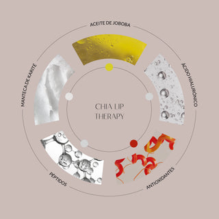 Ingredientes destacados del bálsamo labial Chia Lip Therapy de Byoode: ácido hialurónico, aceite de jojoba, manteca de karité, péptidos y antioxidantes.