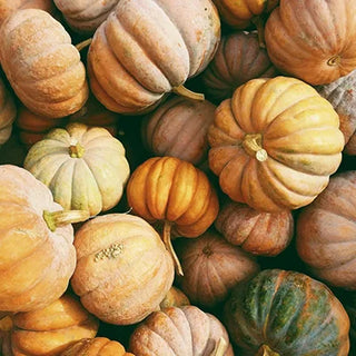 Calabaza