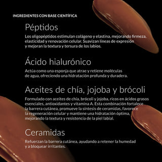 Péptidos: Los oligopéptidos estimulan colágeno y elastina, mejorando firmeza, elasticidad y renovación celular. 

Ácido hialurónico
Actúa como una esponja que atrae y retiene moléculas de agua, ofreciendo una hidratación profunda y duradera.​

Aceites de chía, jojoba y brócoli: Formulado con aceites de chía, brócoli y jojoba, ricos en ácidos grasos esenciales, antioxidantes y vitamina A. 

Ceramidas: Refuerzan la barrera cutánea, ayudando a retener la humedad y a bloquear irritantes.