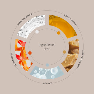 Ingredientes destacados del bálsamo labial Chia Lip Therapy de Byoode: ácido hialurónico, aceite de jojoba, manteca de karité, péptidos y antioxidantes.