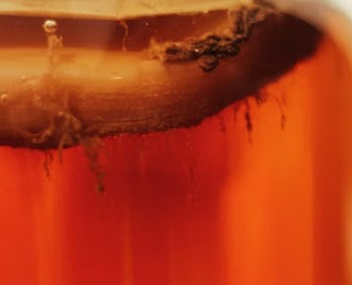 Kombucha y probióticos para la piel