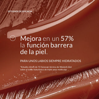 MEJORA EN UN 57% DE LA FUNCIÓN BARRERA.
LABIOS MUCHO MÁS SANOS E HIDRATADOS
*Estudio clínico de 72 horas en técnica de laboratorio Westerb Blot sobre el ácido hialurónico de triple peso molecular.