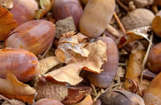 ACEITE DE ARGÁN PARA LA PIEL