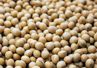 ACEITE DE SOJA PARA LA PIEL
